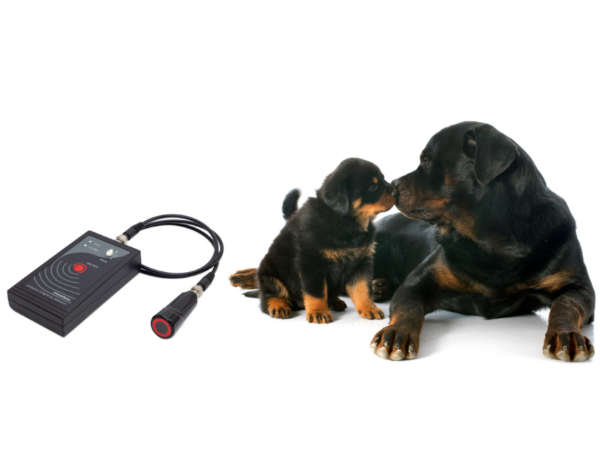 Ultrasonic Dräktighetsdetektor för hund - Bild 2