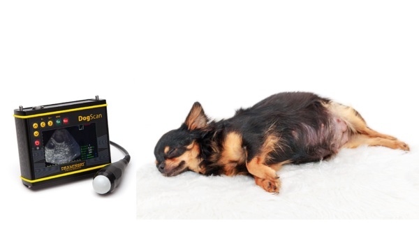 DOGSCAN Ultraljudsscanner för hund - Bild 2