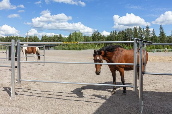 Tre meter bred Gårdsgrind med tre horisontella rör - Bild 5